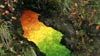 image de Rivers and Tides Extrait vidéo VF