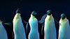 image de Happy Feet Extrait vidéo (3) VF