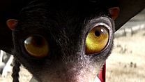 image de Rango Teaser (2) VO