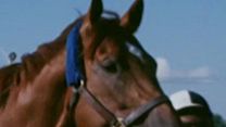 image de Secrétariat Making Of VF