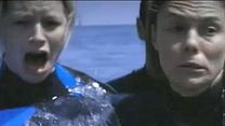 image de The Reef Teaser VF