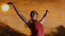 image de Flamenco, Flamenco Extrait vidéo VF