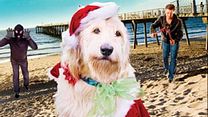 image de Chilly le Chien Catastrophe Bande-annonce VO