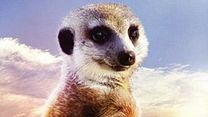 image de Le Clan des suricates, l'aventure commence Bande-annonce VO