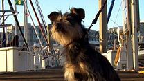 image de Gabe : Un amour de chien Bande-annonce VO