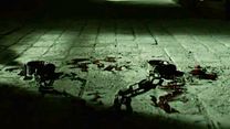 image de "Not Human" - Un teaser de la saison 1 de "Penny Dreadful"