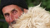 image de Des Carpates AU Danube, La Perle de l'Europe orientale Bande-annonce VF