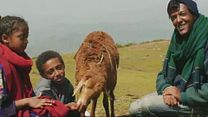 image de Lamb - MAKING OF VO "L'Ethiopie a sa propre culture"