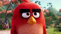 image de Angry Birds Le Film – Bande annonce teaser officielle
