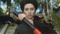 image de Lady Snowblood 2: Love Song of Vengeance Bande-annonce VO