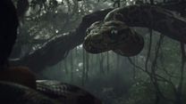 image de Le Livre de la jungle Teaser (3) VO