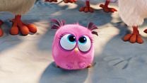 image de Angry Birds - Le Film Bande-annonce (2) VO