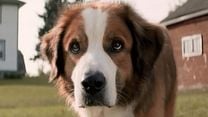 image de Mes vies de chien Bande-annonce VF
