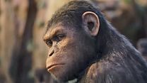 image de la vidéo La Planète des singes : les origines Bande-annonce VO