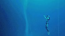 image de L'Homme dauphin, sur les traces de Jacques Mayol Bande-annonce VO