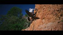 image de Sous son aile Bande-annonce VF