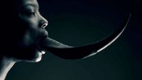image de American Horror Story - saison 3 Teaser (8) VO