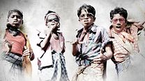 image de Pasanga Bande-annonce VO