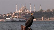 image de Istanbul - Faits et reflets Bande-annonce VF