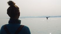 image de Sous la surface Bande-annonce VO