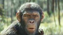 image de La Planète des Singes : Le Nouveau Royaume Bande-annonce VO