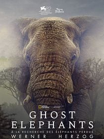 Ghost Elephants