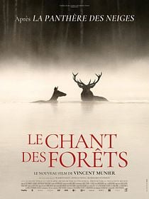 Le Chant des forêts