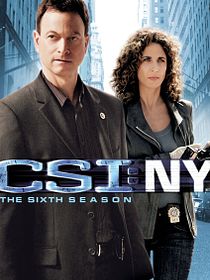 Les Experts : Manhattan