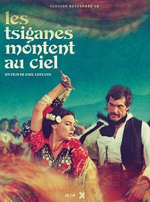Affiche de Les Tsiganes montent au ciel, film à voir en streaming sur Pygargue