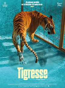 Affiche de Tigresse, film à voir en streaming sur Pygargue