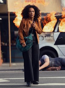 Affiche de L'Appel du chaos, film à voir en streaming sur Pygargue