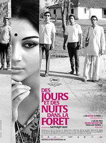 Affiche de Des jours et des nuits dans la forêt, film à voir en streaming sur Pygargue