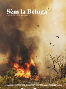 Affiche de SEM LA BELUGA, film à voir en streaming sur Pygargue