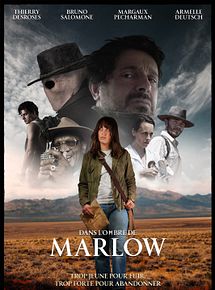 Affiche de Dans l'ombre de Marlow, film à voir en streaming sur Pygargue
