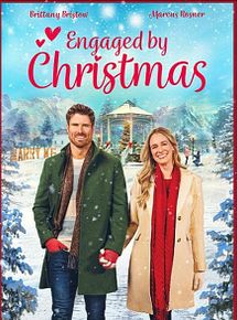 Affiche de La Chronique de Noël, film à voir en streaming sur Pygargue