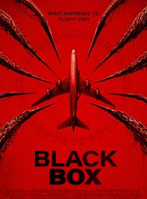 Affiche de Boîte noire, film à voir en streaming sur Pygargue