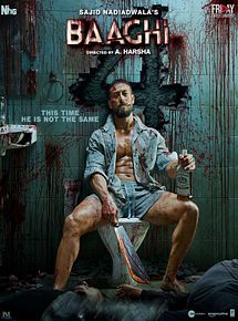 Affiche de Baaghi 4, film à voir en streaming sur Pygargue