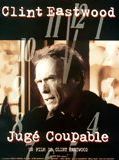 Affiche de Jugé coupable, film à voir en streaming sur Pygargue