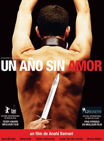Affiche de Un Año sin amor, film à voir en streaming sur Pygargue