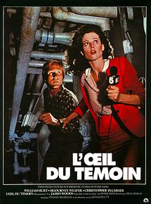 Affiche de L'Oeil du témoin, film à voir en streaming sur Pygargue