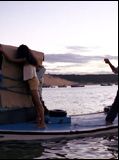 Affiche de Sonhos de peixe, film à voir en streaming sur Pygargue