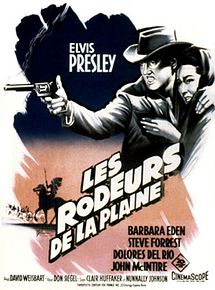 Affiche de Les Rôdeurs de la plaine, film à voir en streaming sur Pygargue