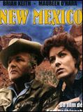 Affiche de New Mexico, film à voir en streaming sur Pygargue
