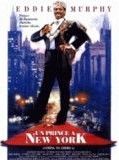 Affiche de Un prince à New York, film à voir en streaming sur Pygargue
