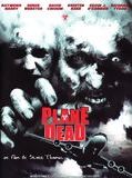 Affiche de Des Zombies dans l'avion (V), film à voir en streaming sur Pygargue