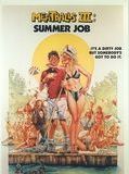 Affiche de Académie de vacances, film à voir en streaming sur Pygargue