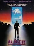 Affiche de Monsieur Destinée, film à voir en streaming sur Pygargue