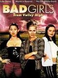 Affiche de Bad Girls From Valley High, film à voir en streaming sur Pygargue