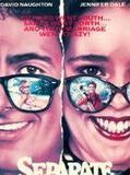 Affiche de Separate vacations, film à voir en streaming sur Pygargue