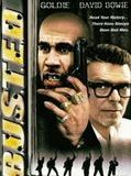 Affiche de G-Men, film à voir en streaming sur Pygargue